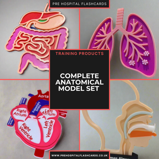 The Anatomical 3D Collection