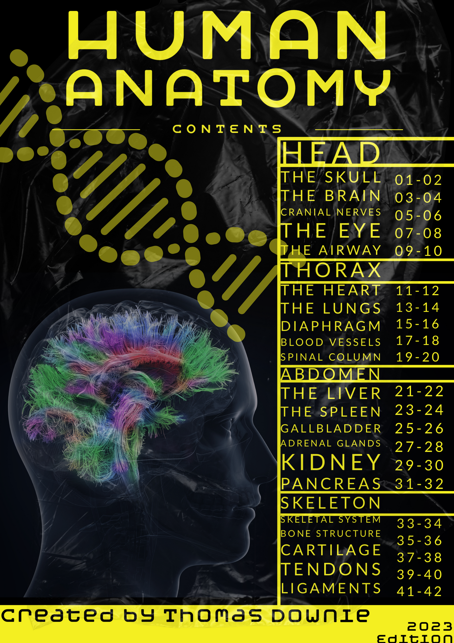 Anatomy Of The Human Body - A5 Book